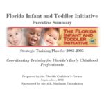 Infant Toddler Executive Summary