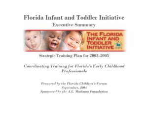 Infant Toddler Executive Summary